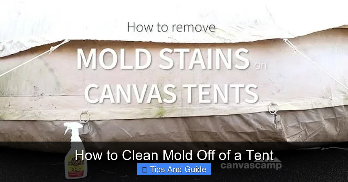How to Clean Mold Off of a Tent