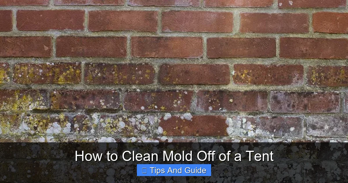 How to Clean Mold Off of a Tent