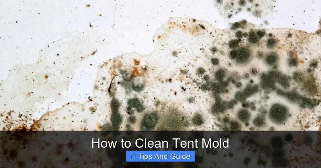 How to Clean Tent Mold
