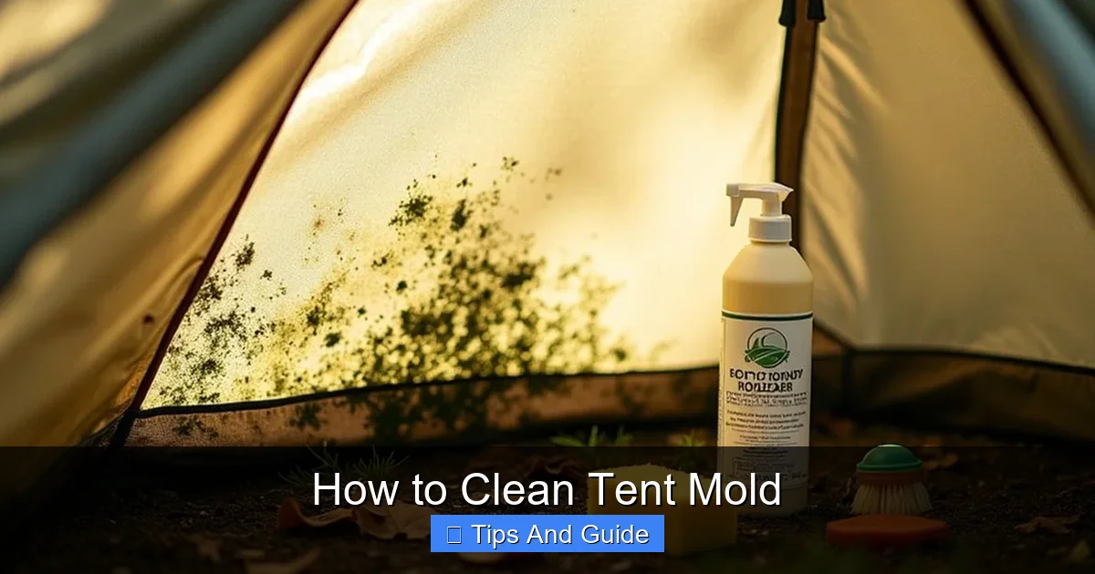 How to Clean Tent Mold