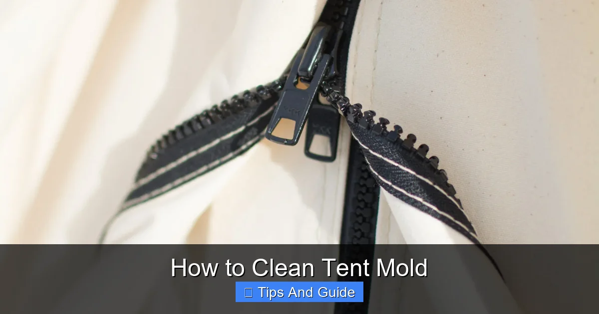 How to Clean Tent Mold