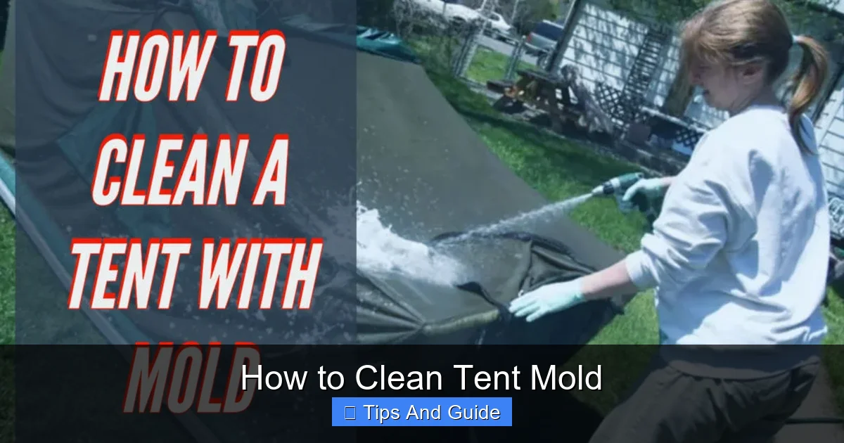 How to Clean Tent Mold