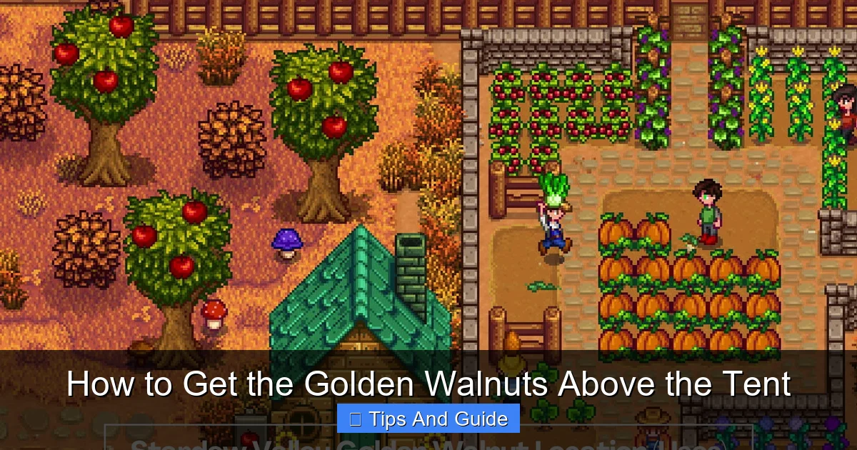 How to Get the Golden Walnuts Above the Tent