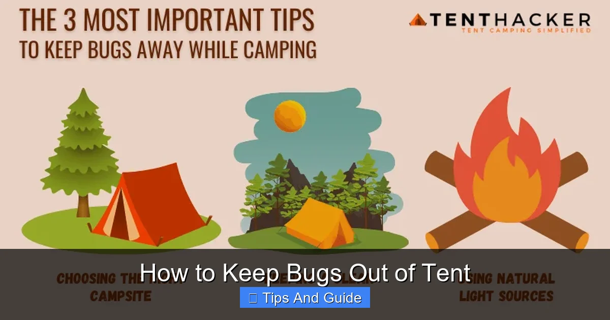 How to Keep Bugs Out of Tent
