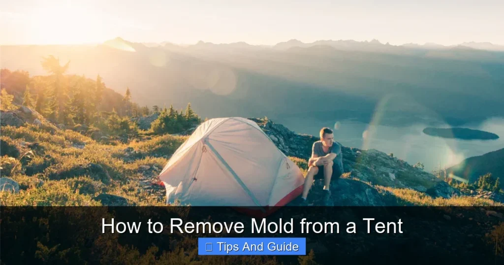 How to Remove Mold from a Tent