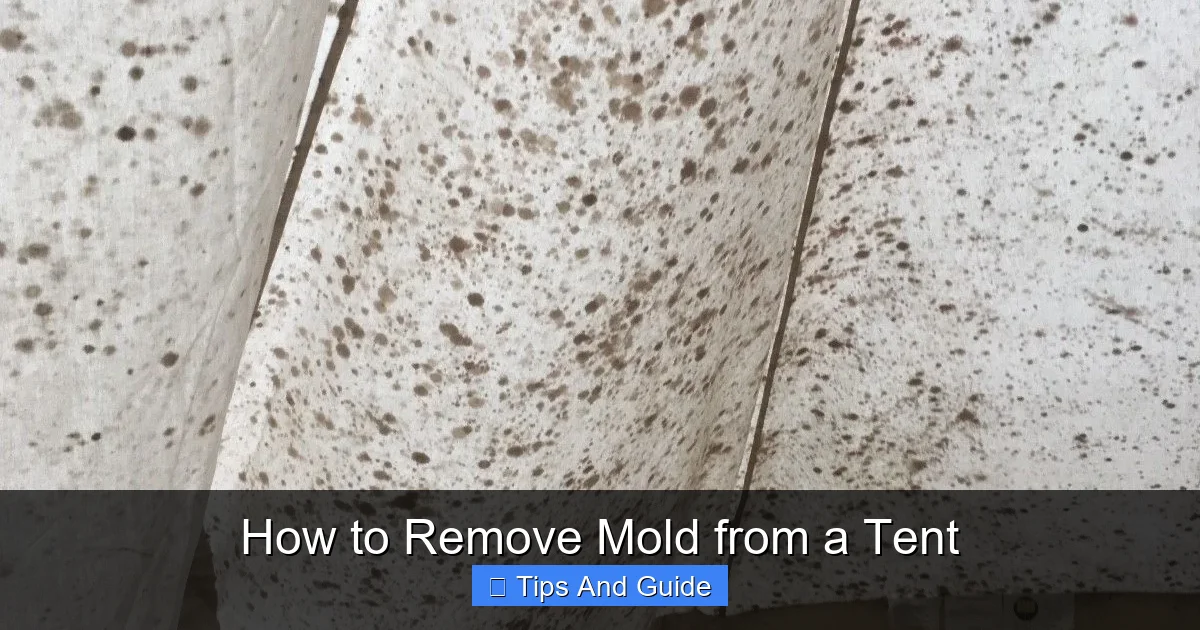 How to Remove Mold from a Tent