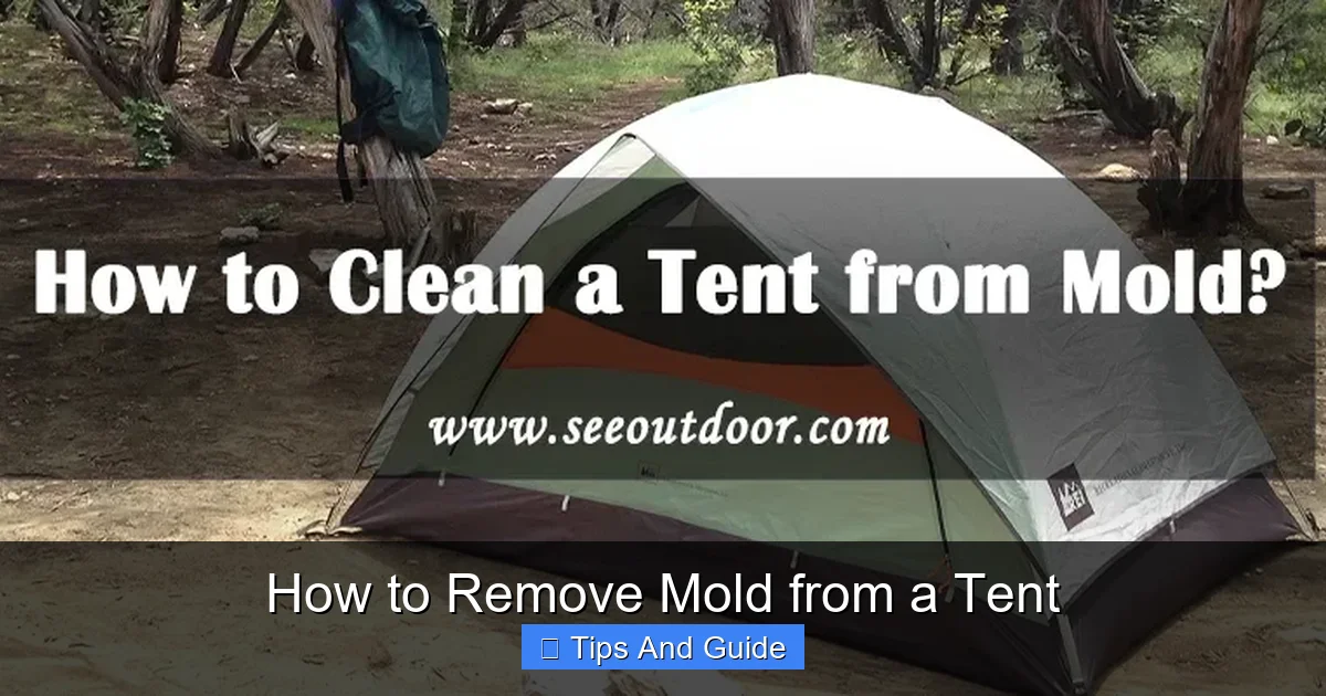 How to Remove Mold from a Tent