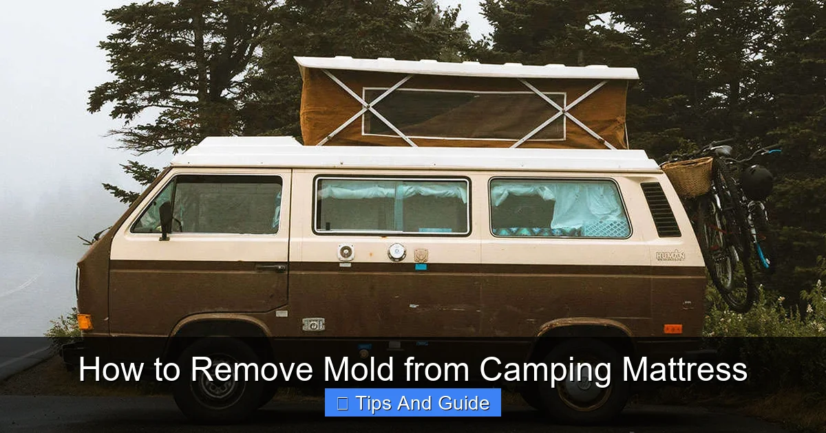 How to Remove Mold from Camping Mattress