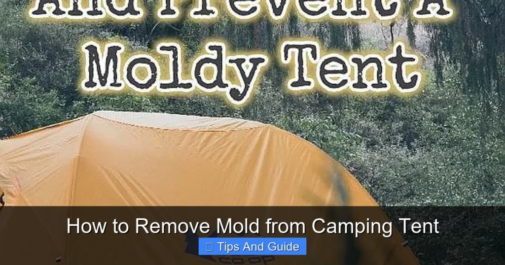 How to Remove Mold from Camping Tent