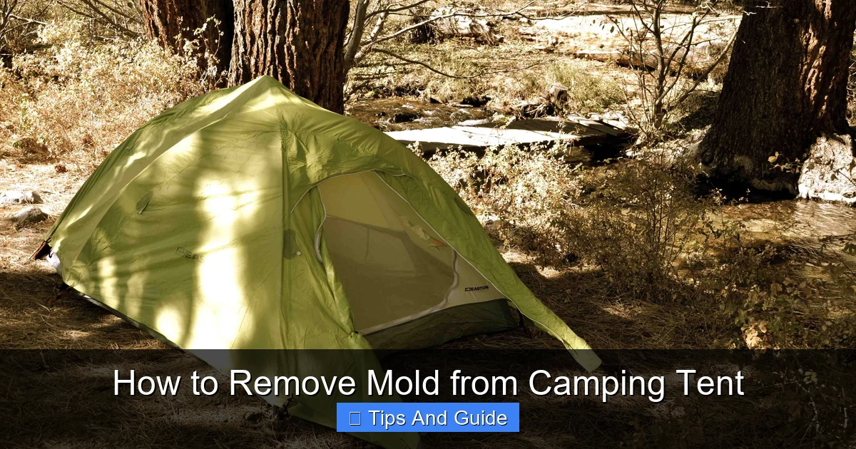 How to Remove Mold from Camping Tent