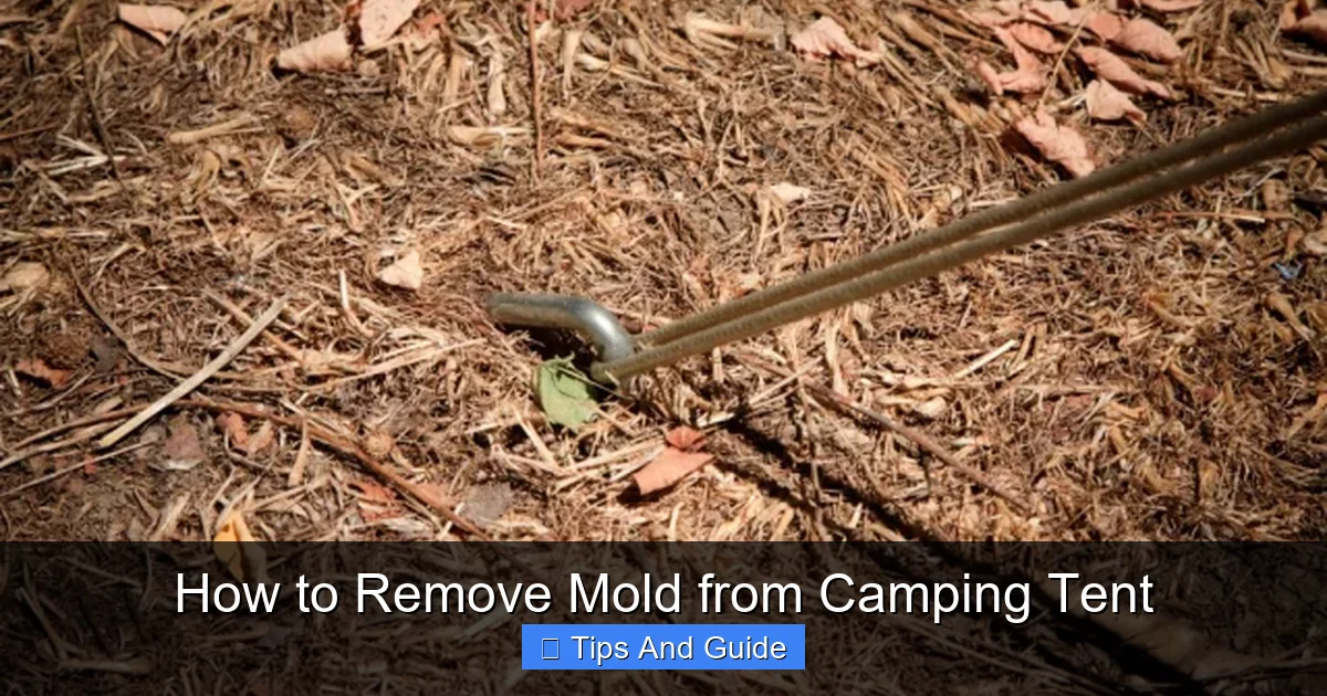 How to Remove Mold from Camping Tent
