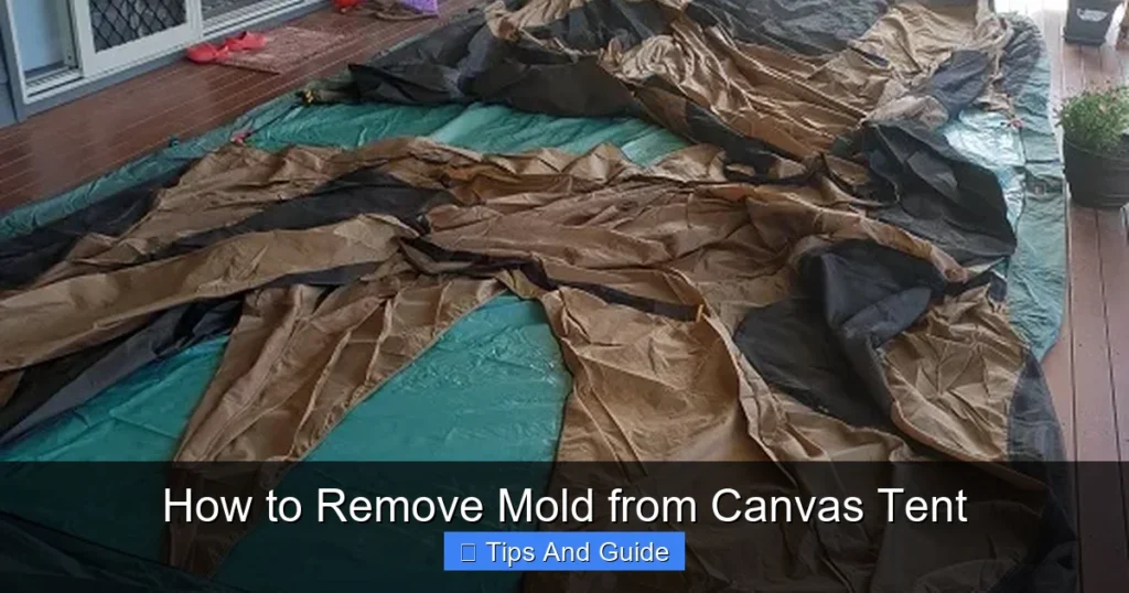 How to Remove Mold from Canvas Tent