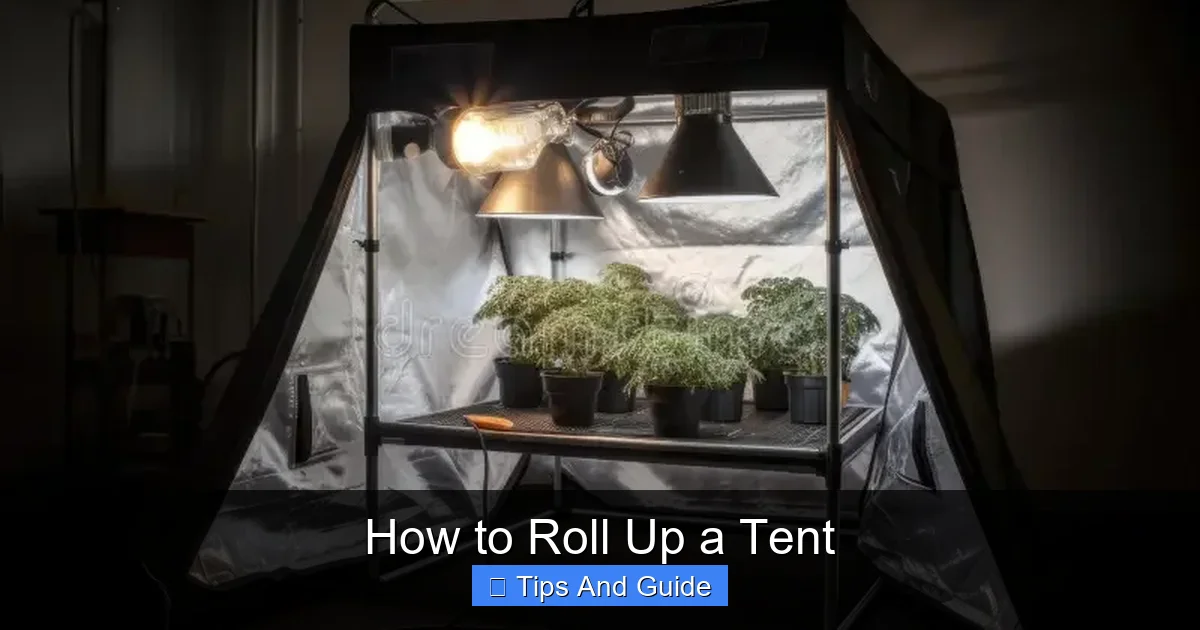 How to Roll Up a Tent