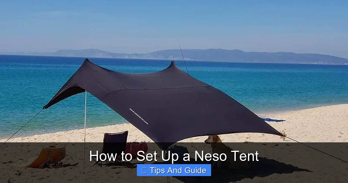 How to Set Up a Neso Tent