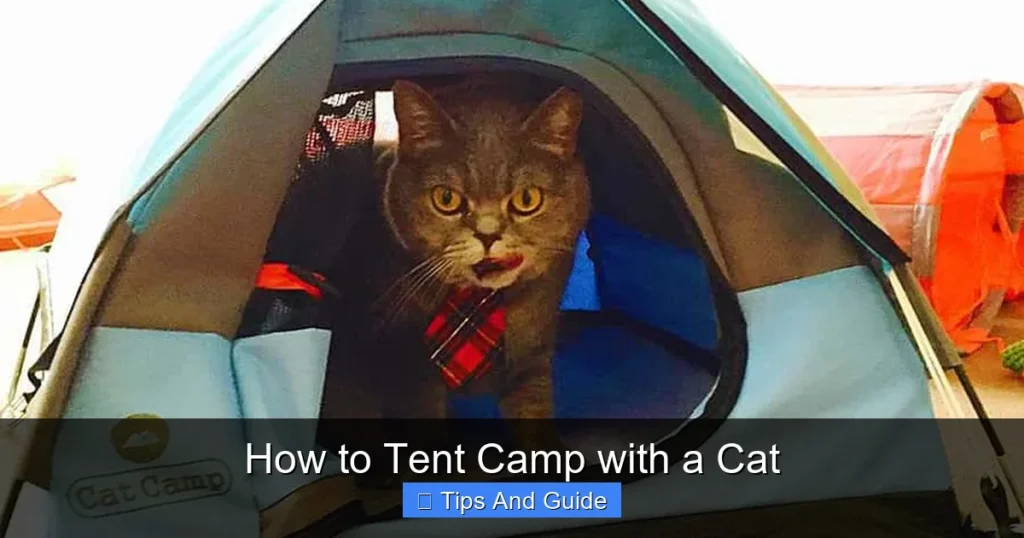 How to Tent Camp with a Cat