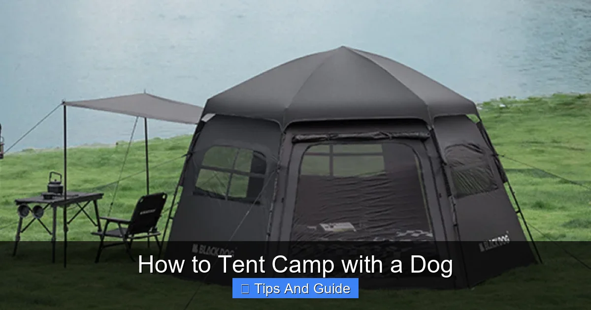 How to Tent Camp with a Dog