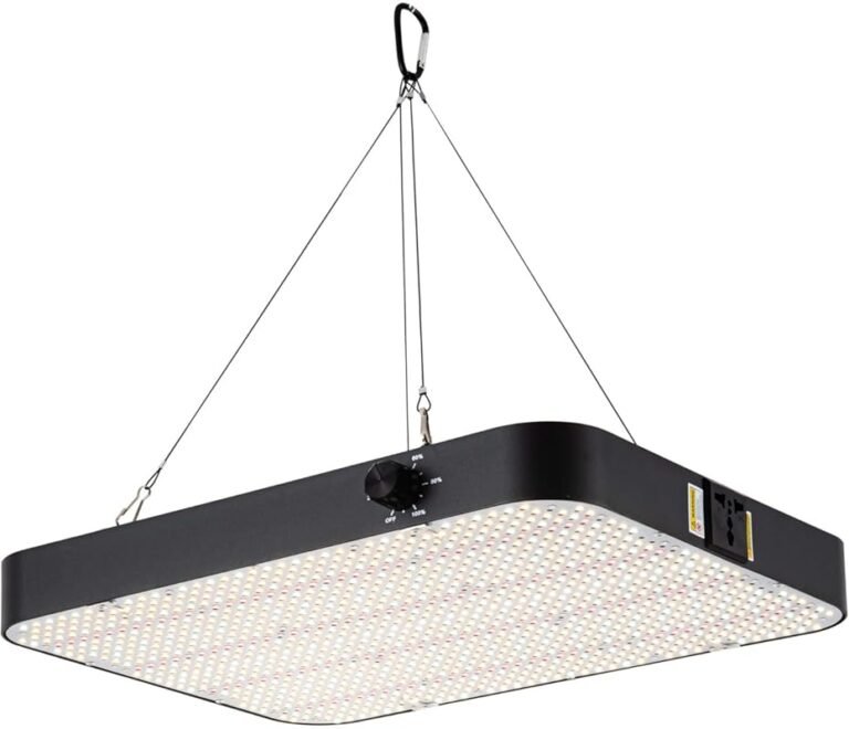 Top 5 Budget Grow Lights for 4×4 Tent: Expert Picks