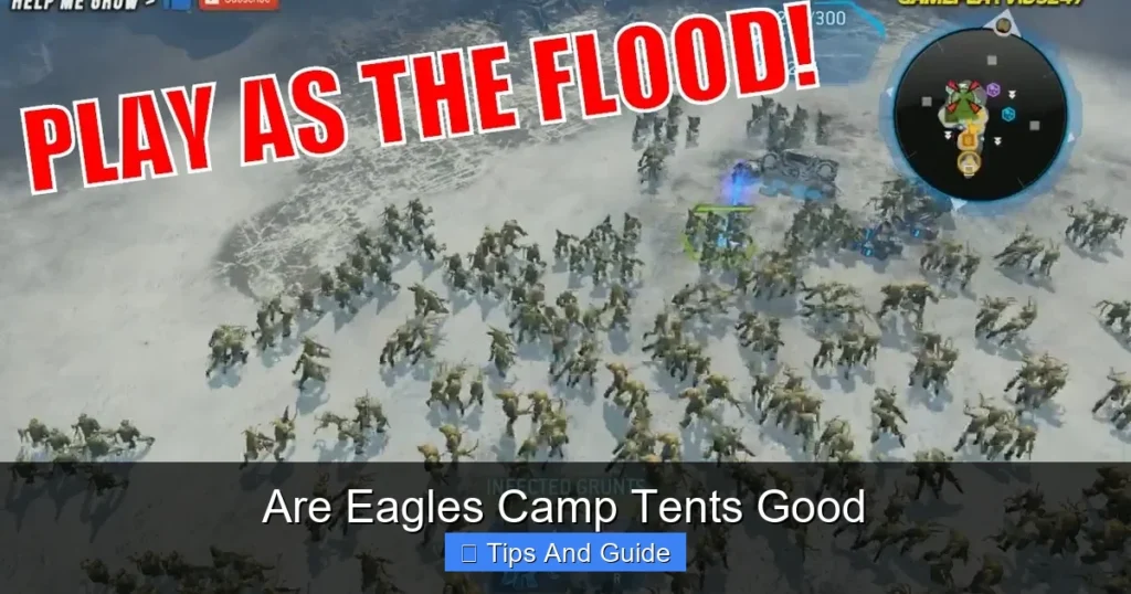 Are Eagles Camp Tents Good