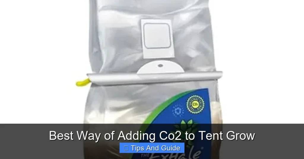 Best Way of Adding Co2 to Tent Grow