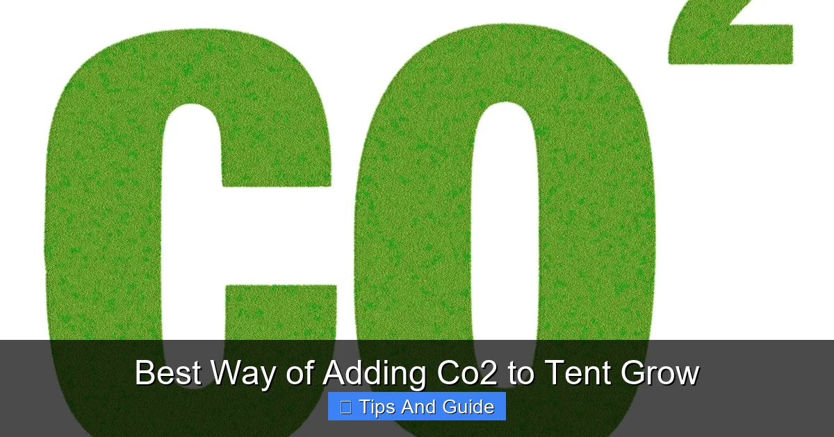 Best Way of Adding Co2 to Tent Grow