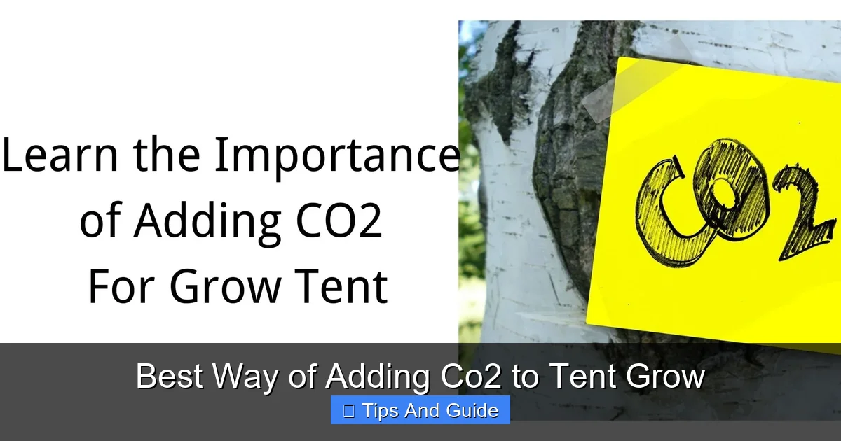Best Way of Adding Co2 to Tent Grow