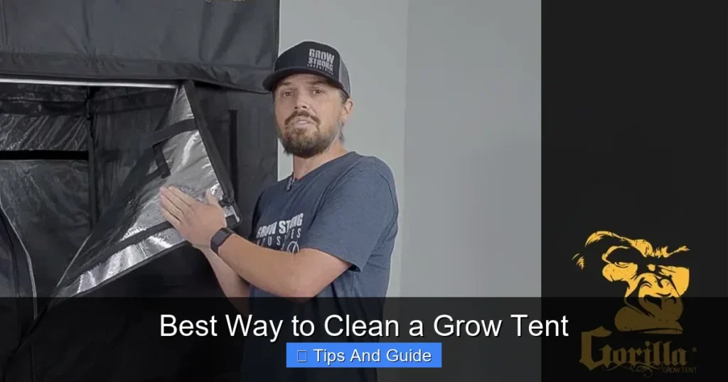 Best Way to Clean a Grow Tent