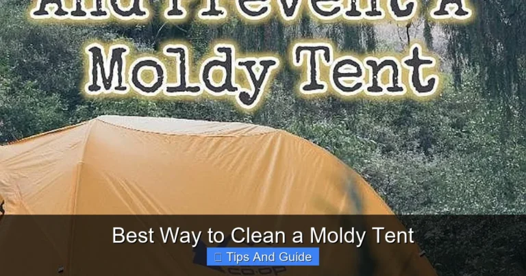 Best Way to Clean a Moldy Tent