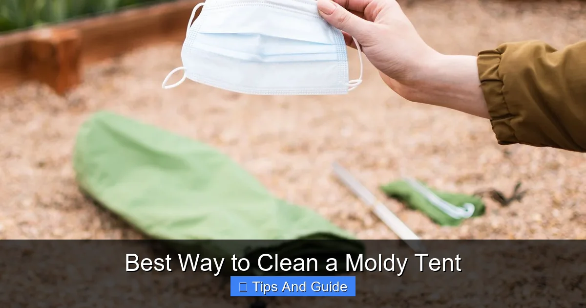 Best Way to Clean a Moldy Tent