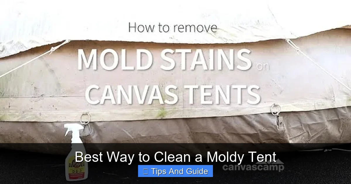 Best Way to Clean a Moldy Tent