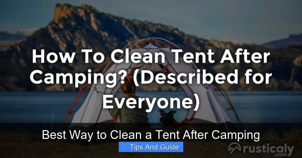Best Way to Clean a Tent After Camping Best Way to Clean a Tent After Camping