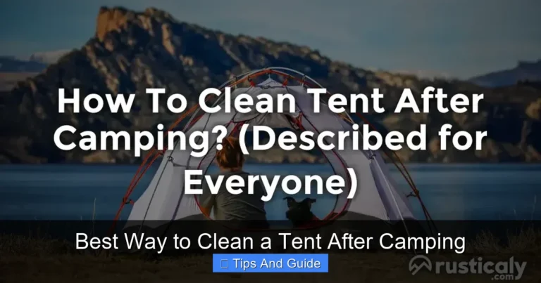 Best Way to Clean a Tent After Camping