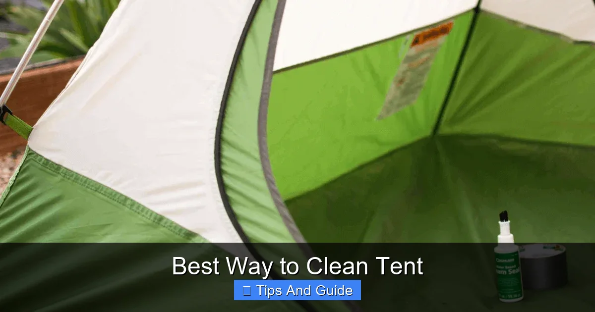 Best Way to Clean Tent