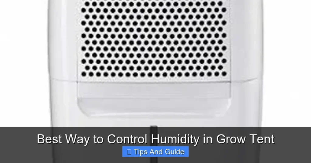 Best Way to Control Humidity in Grow Tent