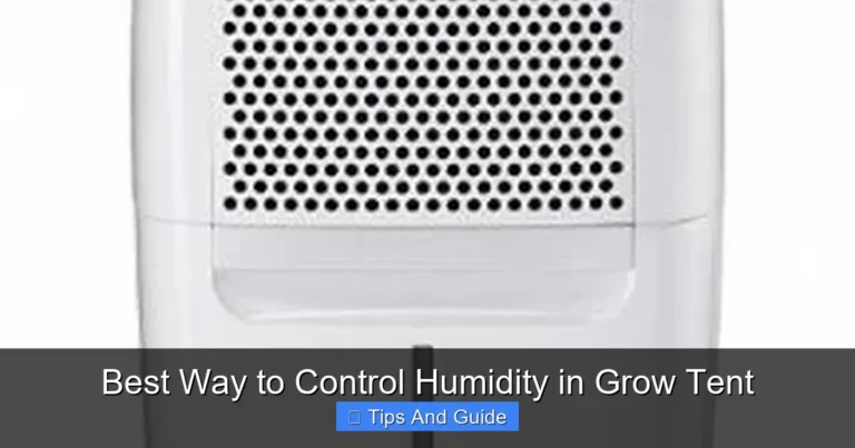 Best Way to Control Humidity in Grow Tent