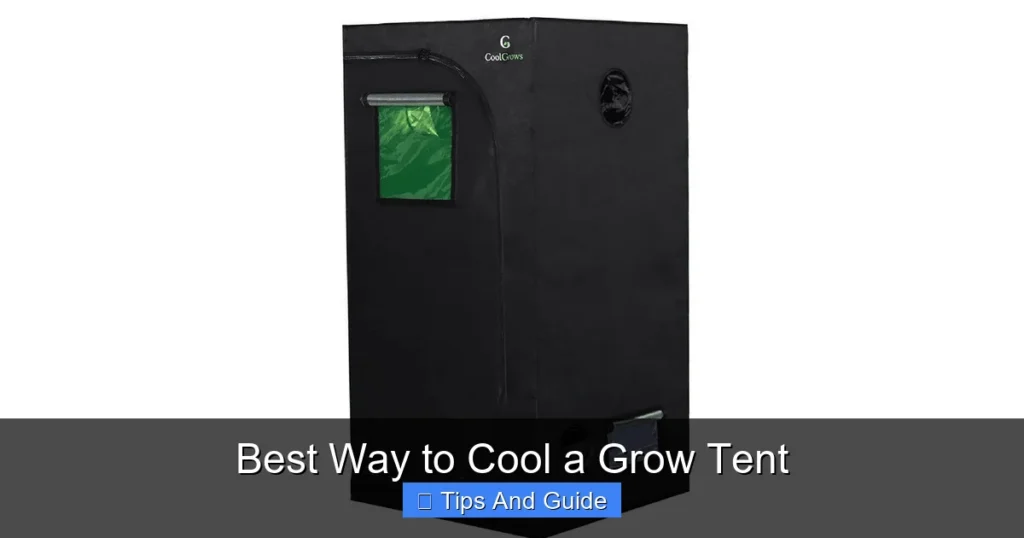 Best Way to Cool a Grow Tent