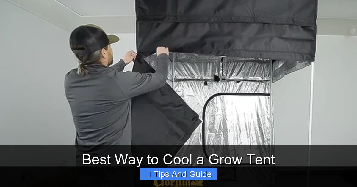 Best Way to Cool a Grow Tent