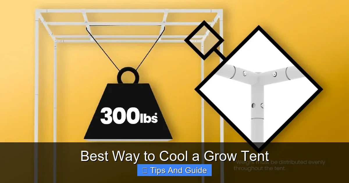 Best Way to Cool a Grow Tent