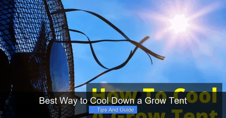 Best Way to Cool Down a Grow Tent