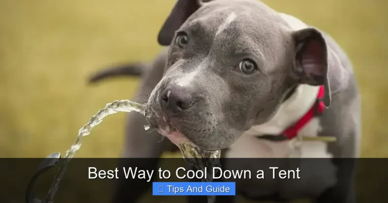 Best Way to Cool Down a Tent