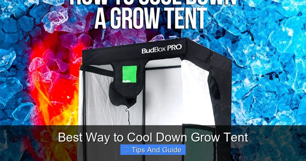 Best Way to Cool Down Grow Tent