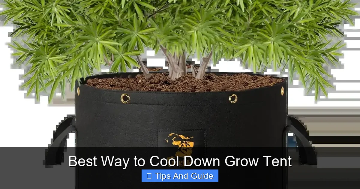 Best Way to Cool Down Grow Tent