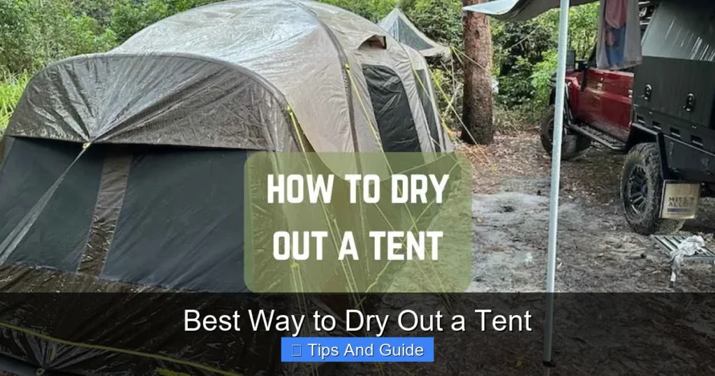 Best Way to Dry Out a Tent
