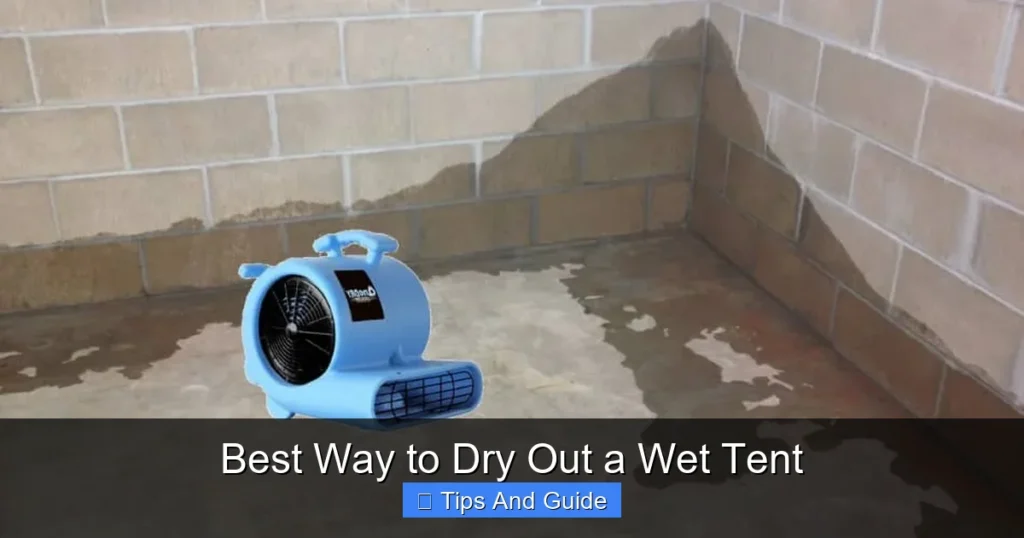 Best Way to Dry Out a Wet Tent