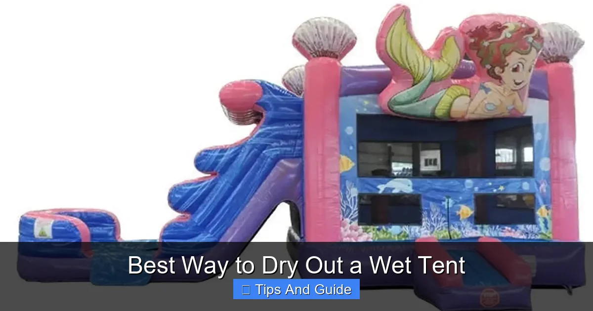 Best Way to Dry Out a Wet Tent