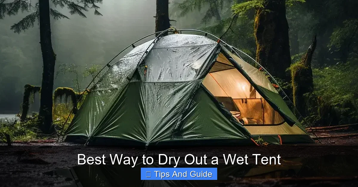 Best Way to Dry Out a Wet Tent