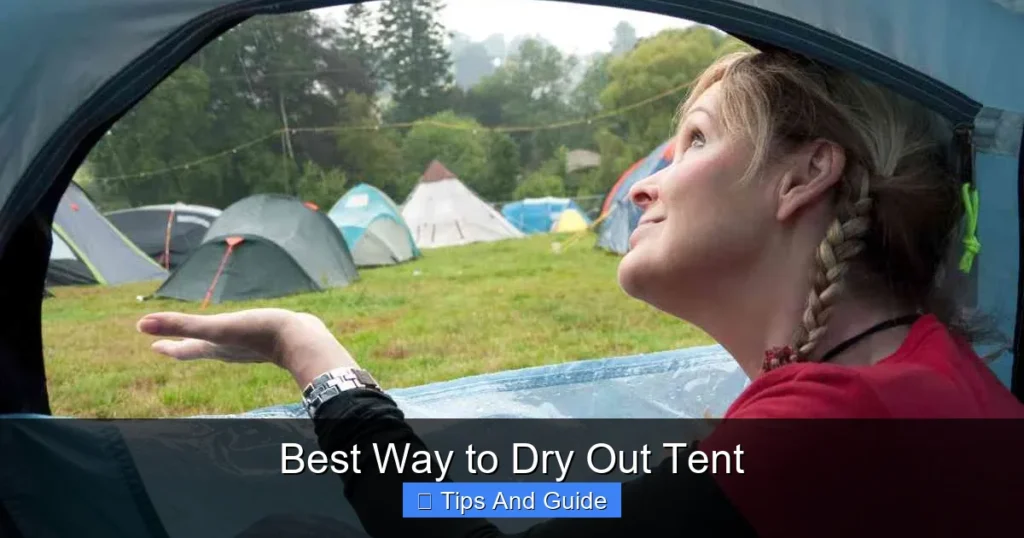 Best Way to Dry Out Tent