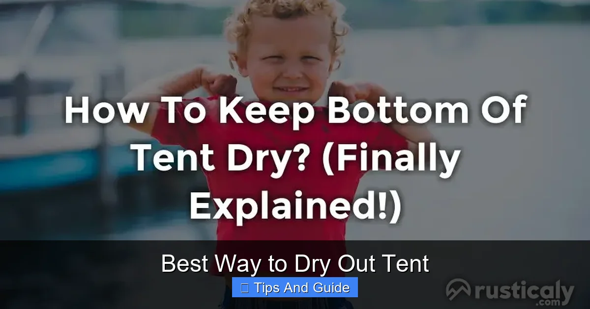 Best Way to Dry Out Tent