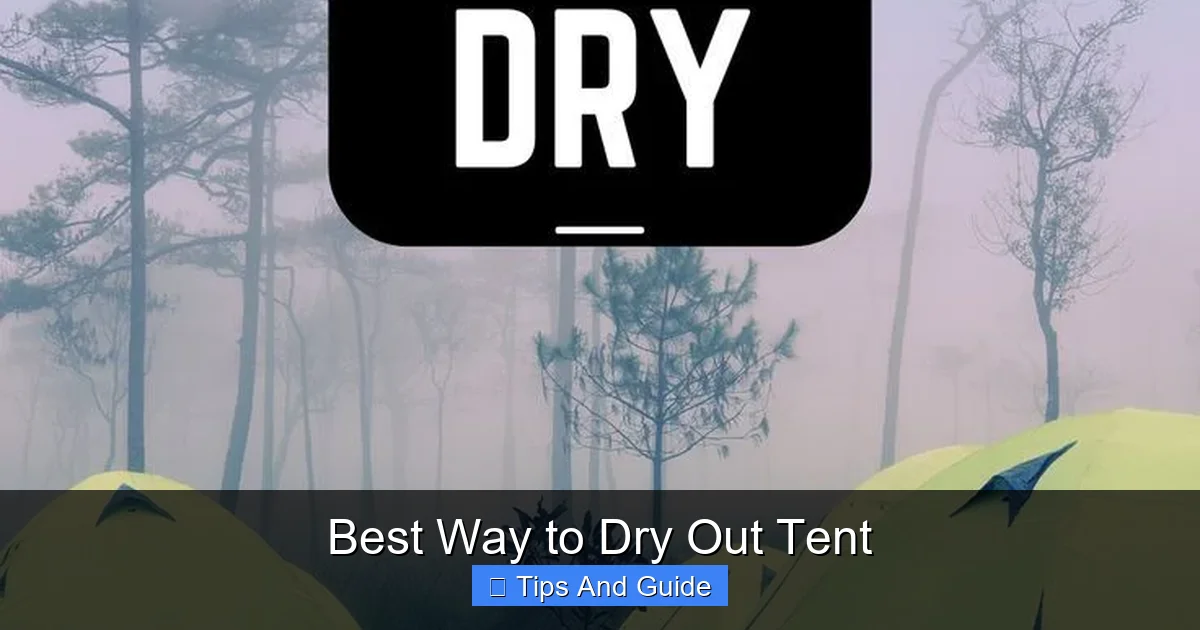 Best Way to Dry Out Tent