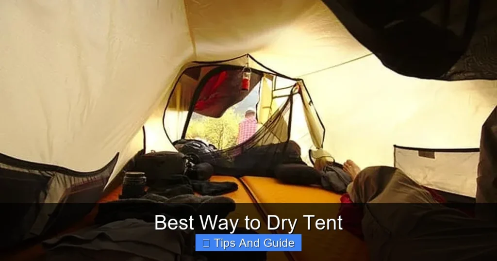 Best Way to Dry Tent