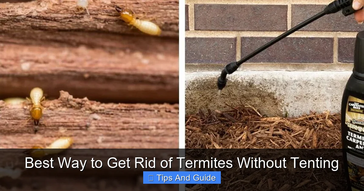 Best Way to Get Rid of Termites Without Tenting